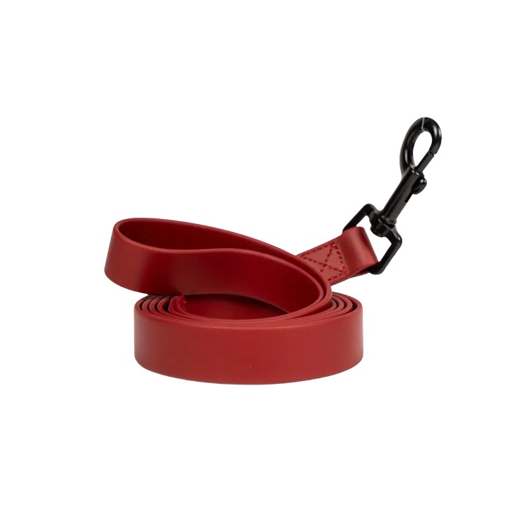 Izturīgs ūdensizturīgs suņu vads no PVC