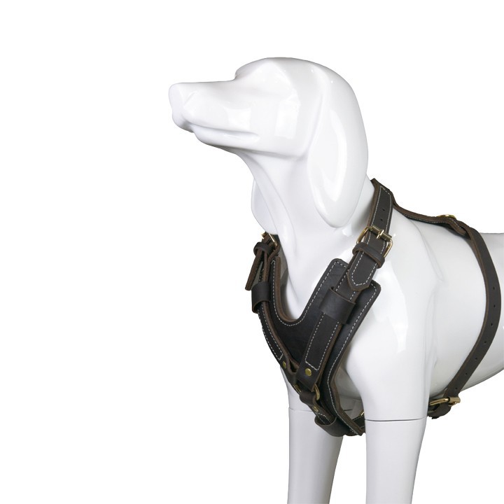 Leather Dog Harness