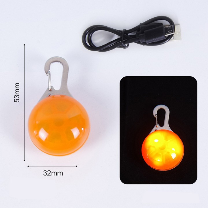 LED light-up Dog Tag