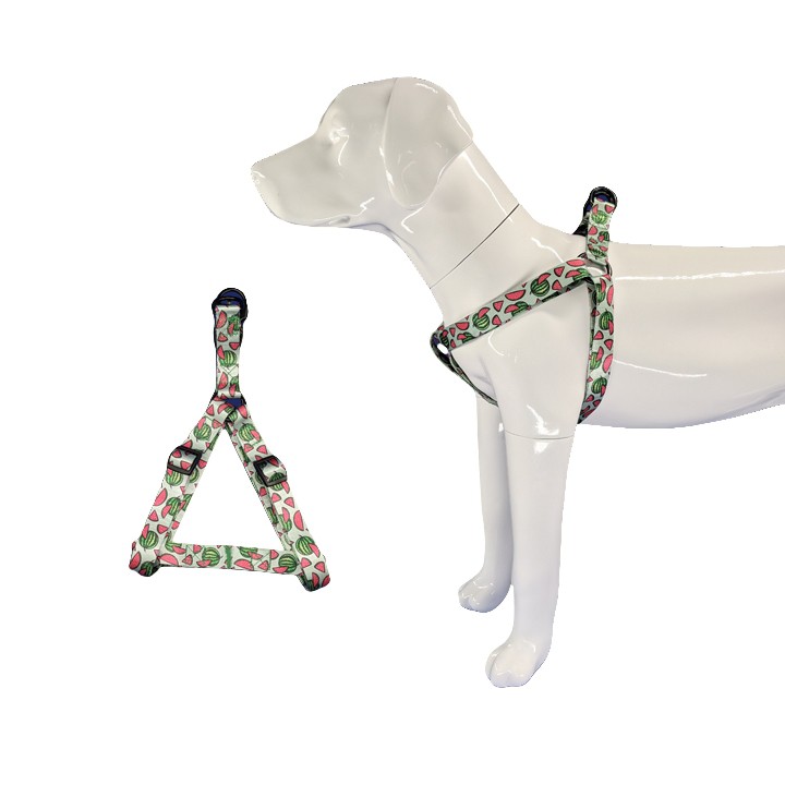 Halter dog harness