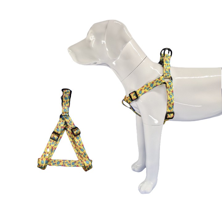 Pineapple harness