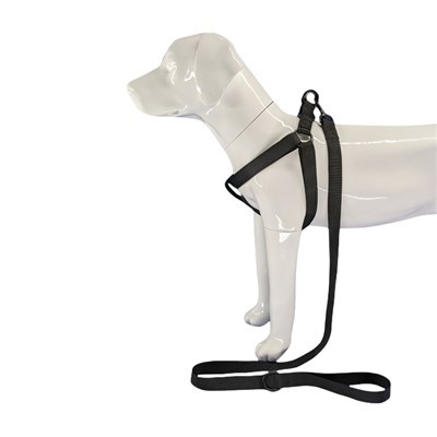 Melnā suņu zirglieta