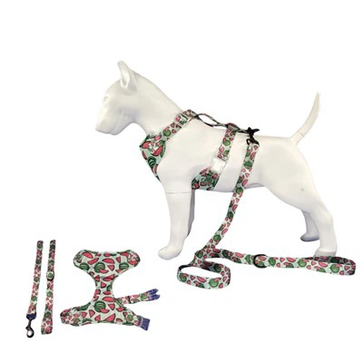 Jauka mīksta suņu zirglieta