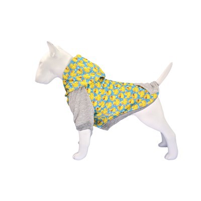 Suņu apģērbu dizainers