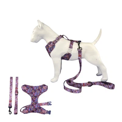 Suņu zirglietu un pavadas komplekts