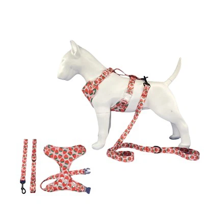 Meiteņu suņu zirglietas