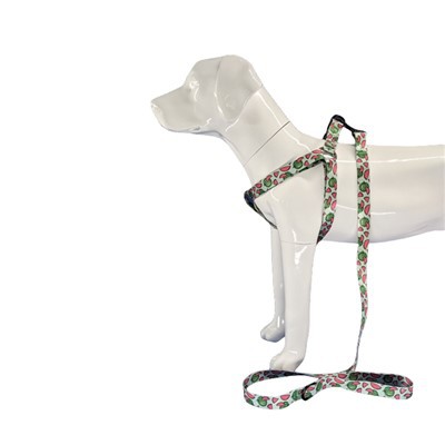 Halter suņu zirglietas