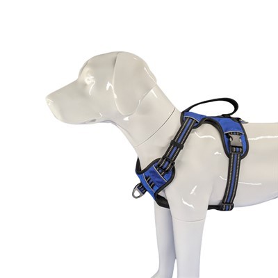 Lieljaudas suņu zirglietas