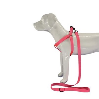 Hot Pink Dog zirglietas