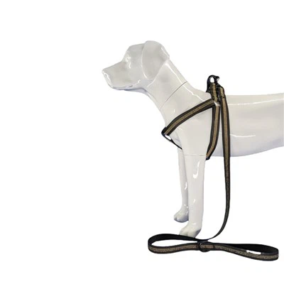 Gaismu atstarojoša melna suņu zirglieta