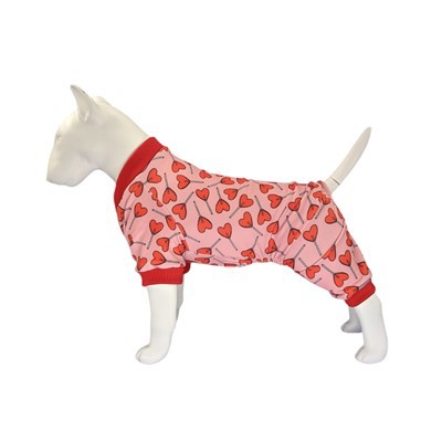 Spandex Velvet Dog Onesies