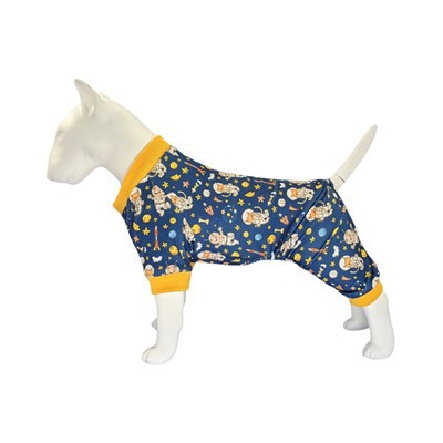 Universe Dog Onesies