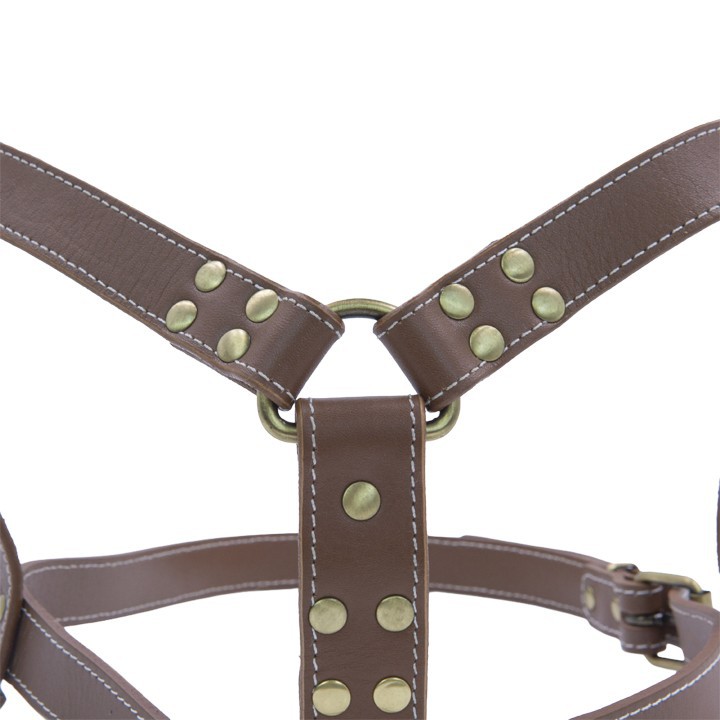 Brass Rivet Leather Dog Harness