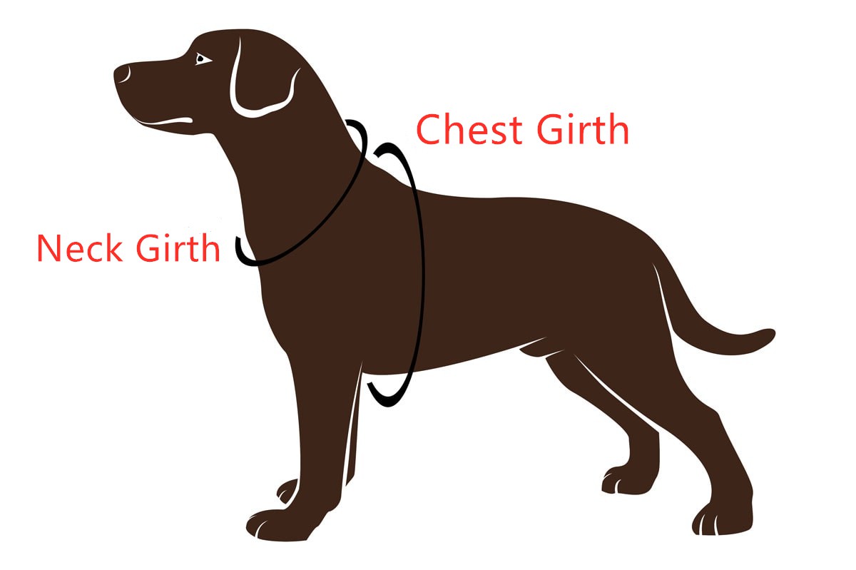 product-1200-799 product-1200-799