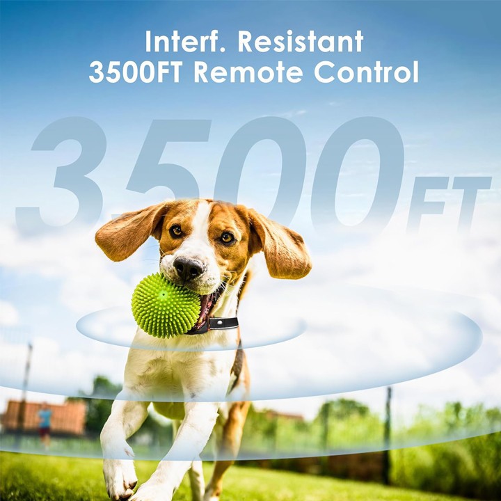 Dog Training Collars for Behavior Aids