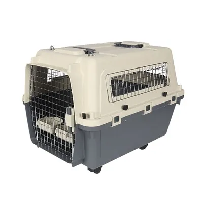 Aviokompānijas apstiprināta mājdzīvnieku kaste