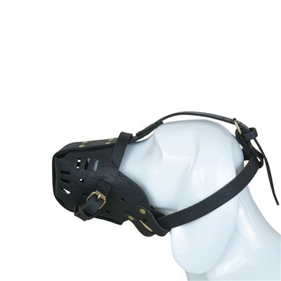 Grozu uzpurņi Suņiem