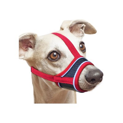 Elpojošs sieta suņa purns