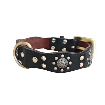 Klasiskā ādas kaklasiksna suņiem