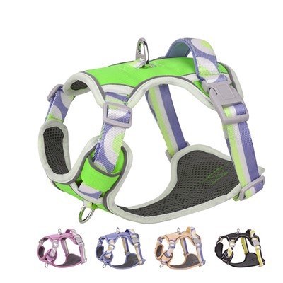 Pielāgota krāsa, regulējama suņu iejūga bez vilkšanas