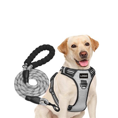 Pielāgots suņu zirglietu un suņu pavadas komplekts