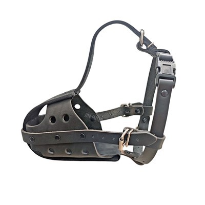 Suņu uzpurņi Bulldogiem