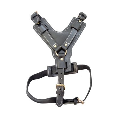 Lieljaudas ādas suņu zirglietas