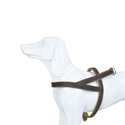 Nav velkamās govs ādas suņu zirglietas