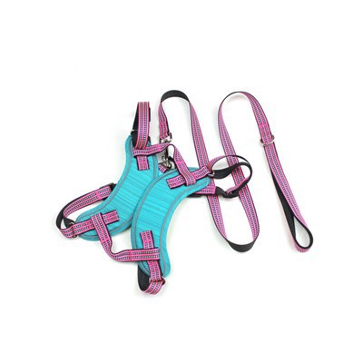 Nav Pull Dog zirglietu un pavadas komplekts