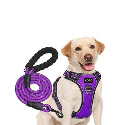 Personalizēts logotips suņu iejūgu un virvju suņu pavadas komplekts