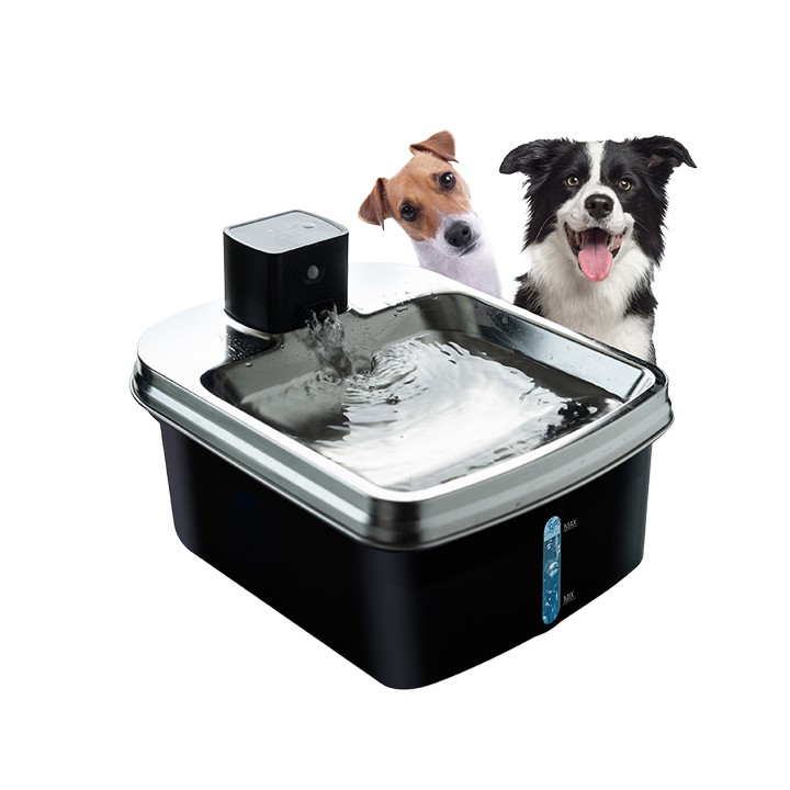 Gudrais suns ūdens strūklaka