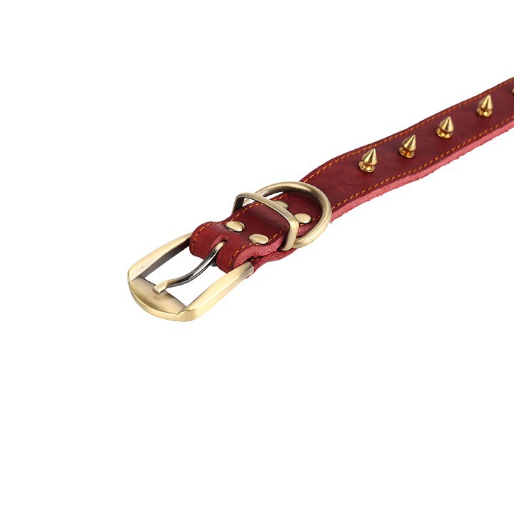 Spiked Leather Dog Collar