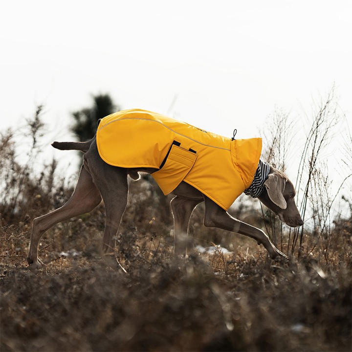 Dog Coat for Large Breeds