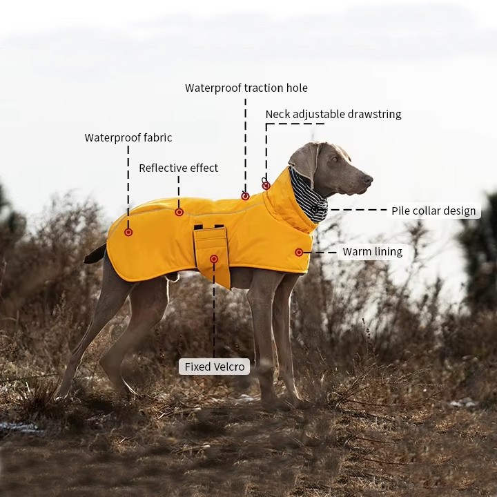 Dog Coats for Cold Weather